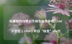 权重股的压舱石作用会逐步体现，A50ETF华宝（159596）昨日“吸金”6836万