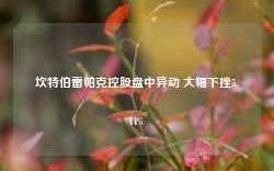 坎特伯雷帕克控股盘中异动 大幅下挫5.44%