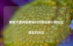 摩根大通同意撤销对特斯拉就认股权证提起的诉讼