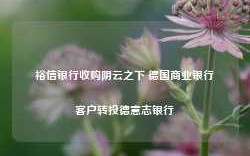 裕信银行收购阴云之下 德国商业银行客户转投德意志银行