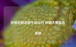 供销社概念股午后拉升 供销大集直线涨停