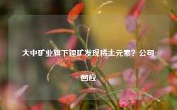 大中矿业旗下锂矿发现稀土元素？公司回应