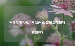 电诈惩戒办法12月起实施 金融惩戒措施有哪些？