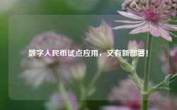 数字人民币试点应用，又有新部署！