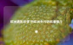 欧洲通胀反弹 但欧洲央行仍将谨慎行事