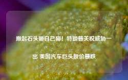 搬起石头砸自己脚！特朗普关税威胁一出 美国汽车巨头股价暴跌