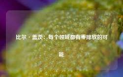 比尔·盖茨：每个领域都有零排放的可能