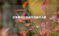 花旗集团拟削减年终晋升人数