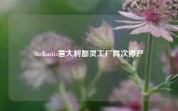 Stellantis意大利都灵工厂再次停产