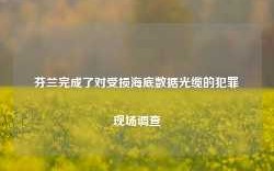 芬兰完成了对受损海底数据光缆的犯罪现场调查