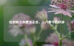 信创概念股震荡走低，三六零午后跌停