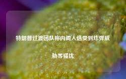 特朗普过渡团队称内阁人选受到炸弹威胁等骚扰