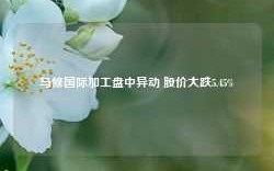 马修国际加工盘中异动 股价大跌5.45%