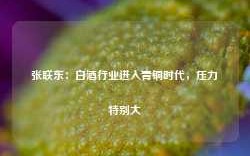 张联东：白酒行业进入青铜时代，压力特别大