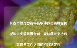 长春市博方智能科技取得多功能精密机械加工夹紧装置专利，能够保证夹持后夹板与工件之间的相对稳定性