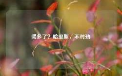 喝多了？哈里斯，不对劲