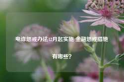 电诈惩戒办法12月起实施 金融惩戒措施有哪些？-第1张图片-泰鸿机械