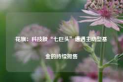 花旗：科技股“七巨头”遭遇主动型基金的持续抛售-第1张图片-泰鸿机械