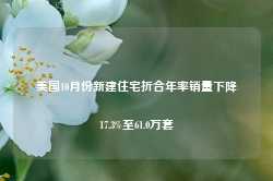 美国10月份新建住宅折合年率销量下降17.3%至61.0万套-第1张图片-泰鸿机械