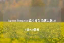 Capricor Therapeutics盘中异动 急速上涨5.18%报19.80美元-第1张图片-泰鸿机械