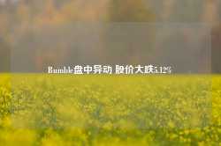 Bumble盘中异动 股价大跌5.12%-第1张图片-泰鸿机械