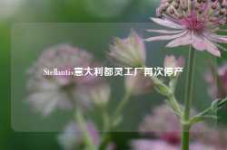 Stellantis意大利都灵工厂再次停产-第1张图片-泰鸿机械