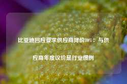 比亚迪回应要求供应商降价10%：与供应商年度议价是行业惯例-第1张图片-泰鸿机械