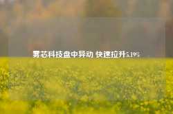 雾芯科技盘中异动 快速拉升5.19%-第1张图片-泰鸿机械