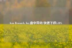 Acm Research, Inc.盘中异动 快速下跌5.18%-第1张图片-泰鸿机械