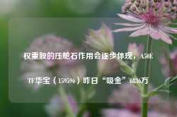 权重股的压舱石作用会逐步体现，A50ETF华宝（159596）昨日“吸金”6836万-第1张图片-泰鸿机械