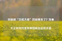 特朗普“关税大棒”的报复来了？加拿大正研究对某些美国商品征收关税-第1张图片-泰鸿机械