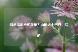 网易深圳全部裁员？内部人士回应：假的-第1张图片-泰鸿机械